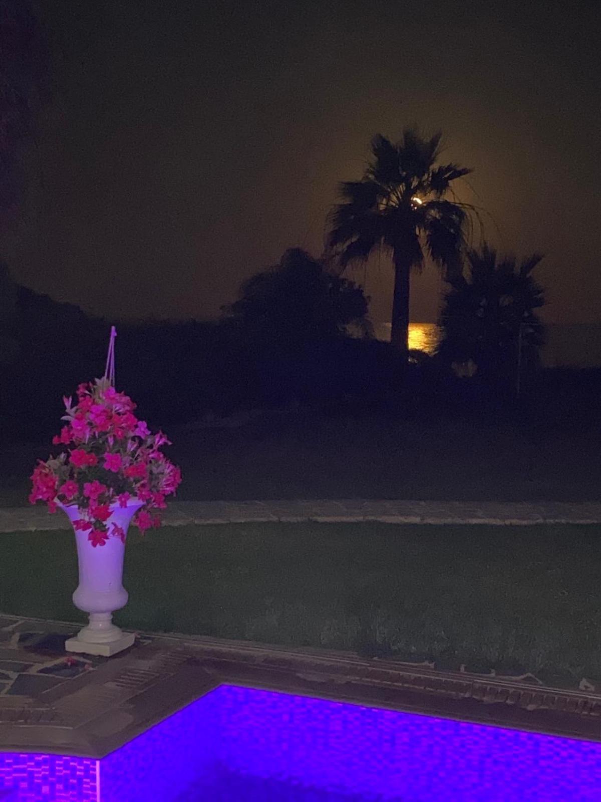 איה נאפה Ionion Beachfront Villa מראה חיצוני תמונה